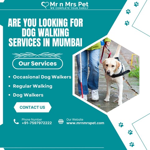 Professional Dog Walking Services in Mumbai